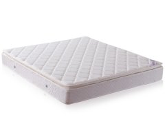 长沙约茶论坛网